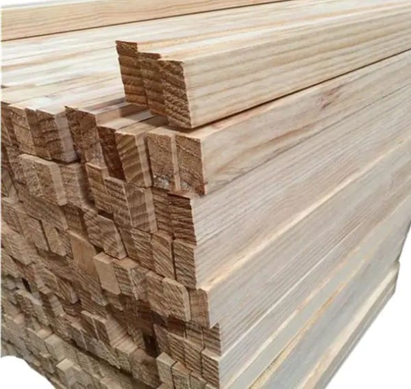 White Cedar4