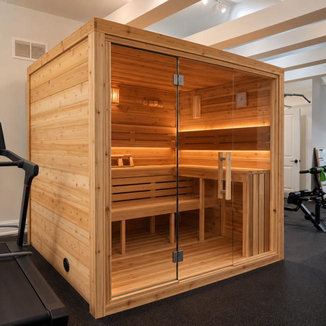 Modern Home Gym Sauna Retreat