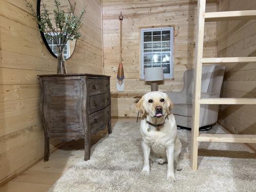 Wooden Bunkies 8x12